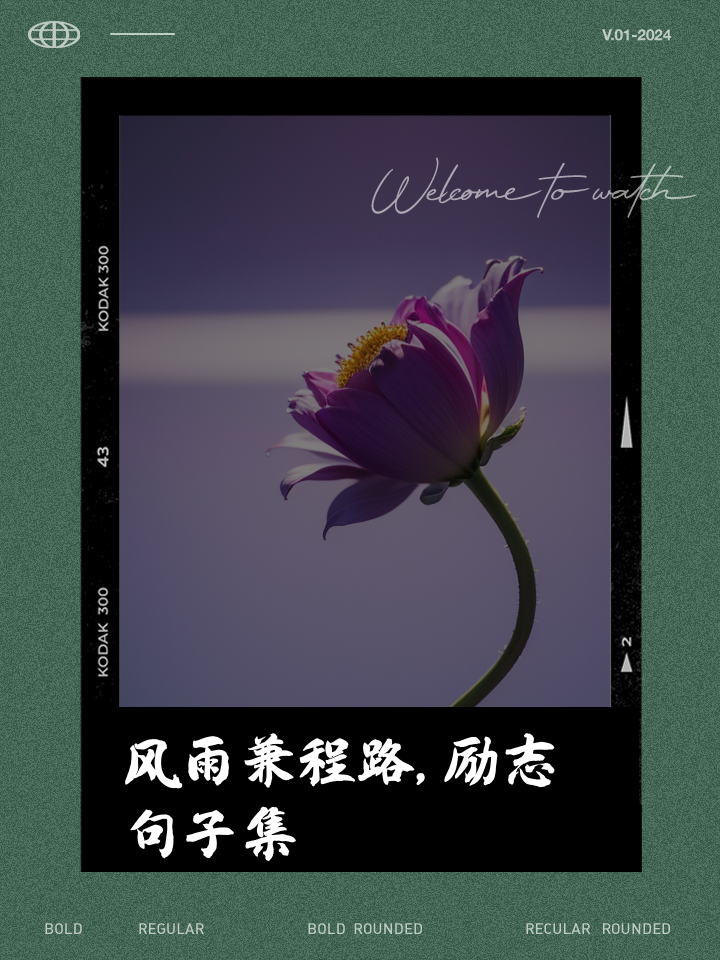 开云下载-包含亚洲冠军之路风雨兼程，勇往直前霸气辉煌！的词条