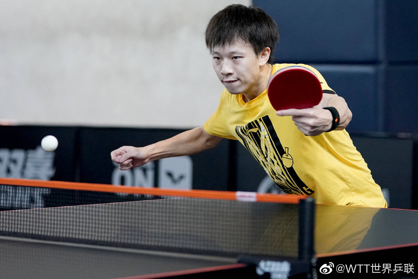 法国队险胜葡萄牙队，林高远刷新纪录的简单介绍