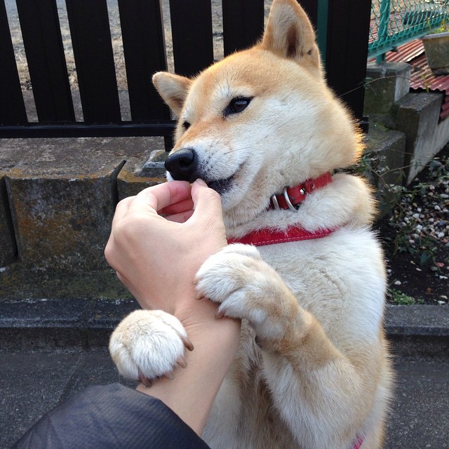 开云sport-跨国对决惊魂十秒,浓眉一记绝杀,让深圳体育馆陷入死寂