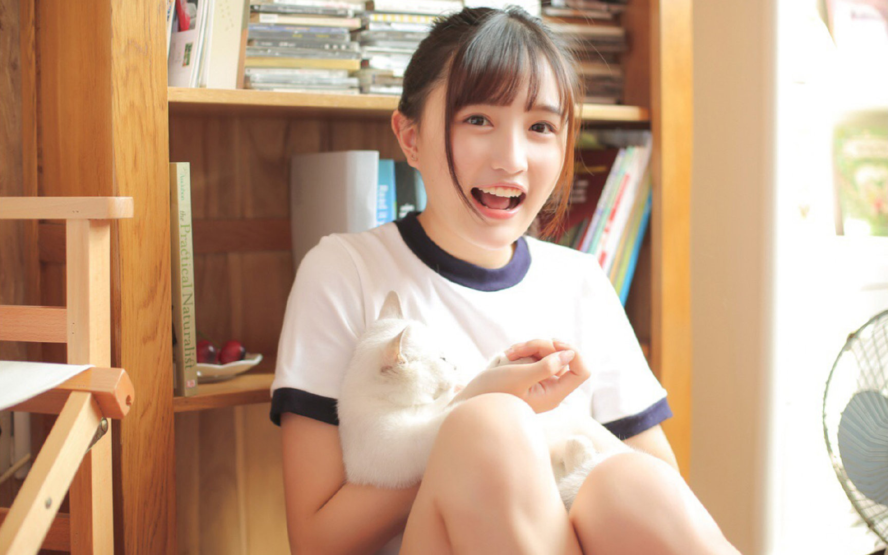 当特奥的刀锋刺穿黄昏，摩洛哥的火焰为何焚尽了罗马的史诗？