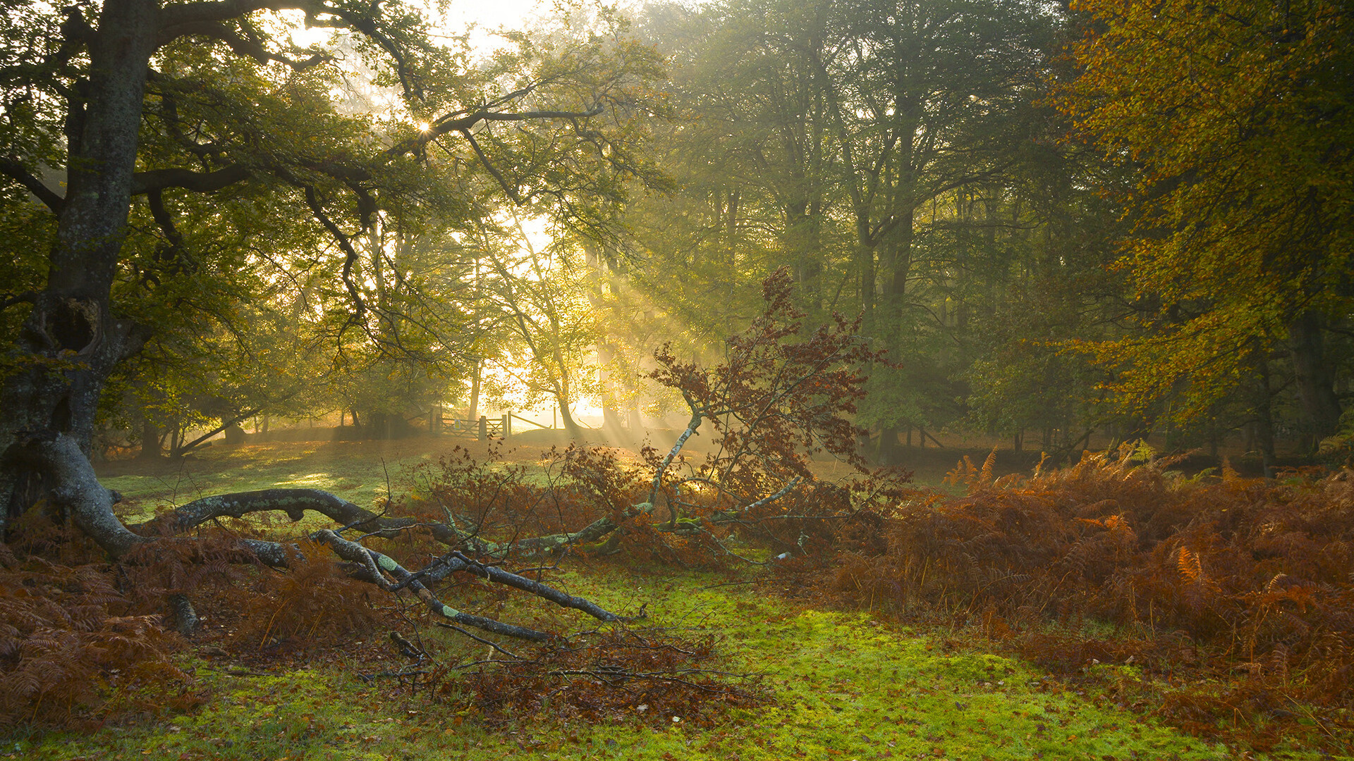 最后一分钟的救赎,莫德里奇错失点球却成为英雄