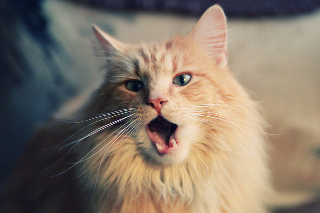 伊萨克关键一击，巴拉圭终结智利不败神话