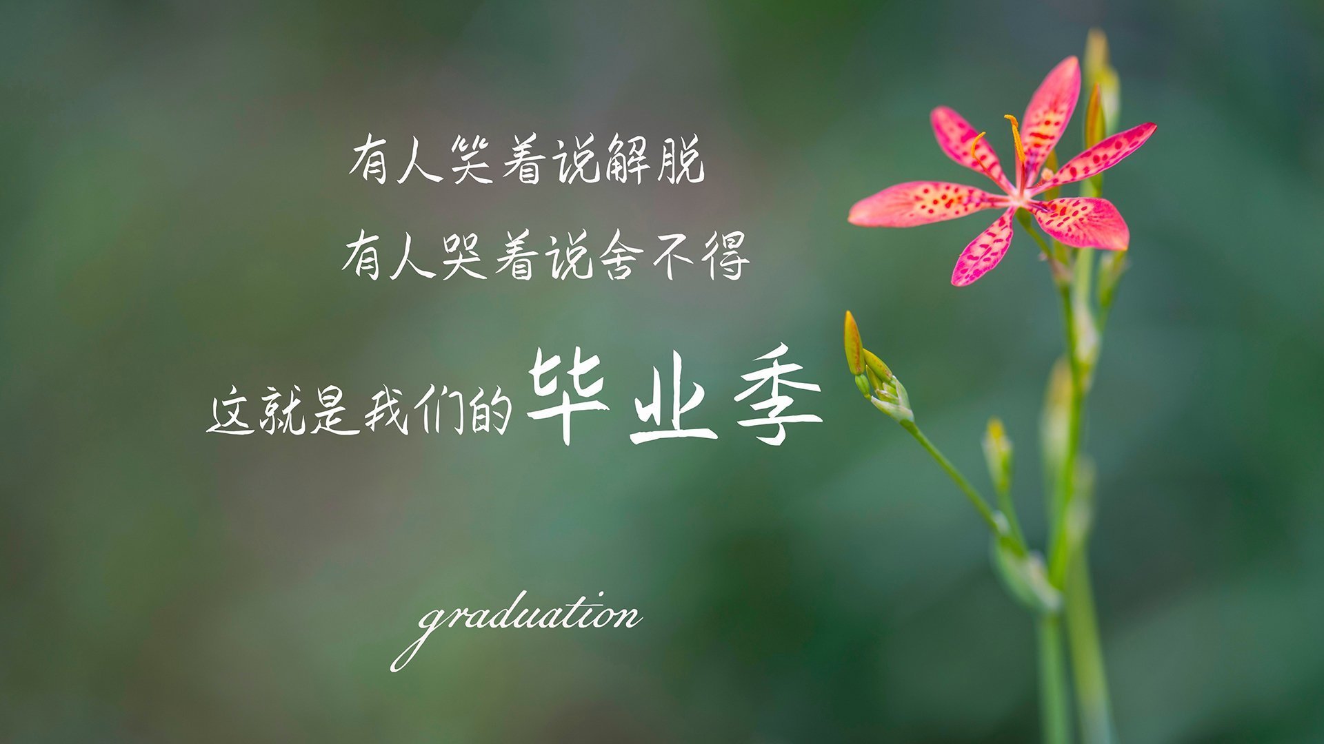 改写篮球词典！洪都拉斯抢七闪电战，47分钟速胜突尼斯创季后赛历史