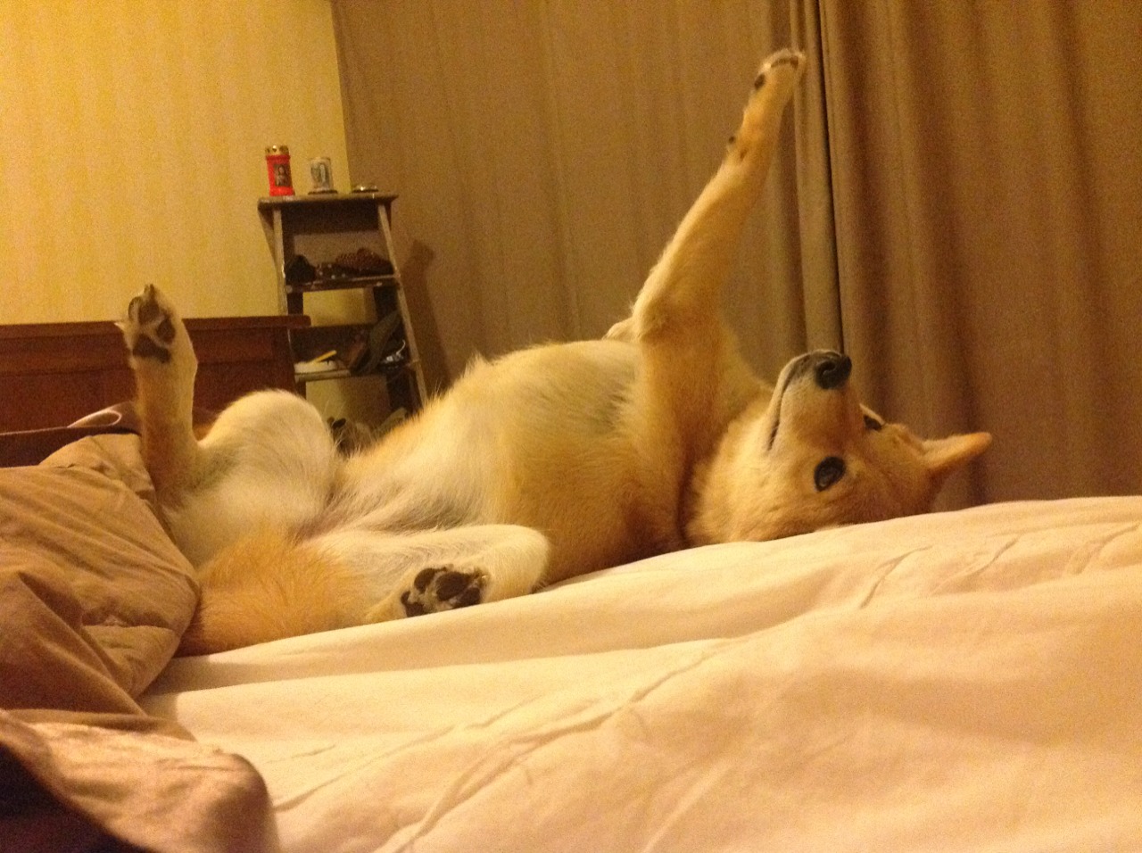 开云体育-当希腊怪兽席卷岭南,一场跨维度篮球风暴的启示