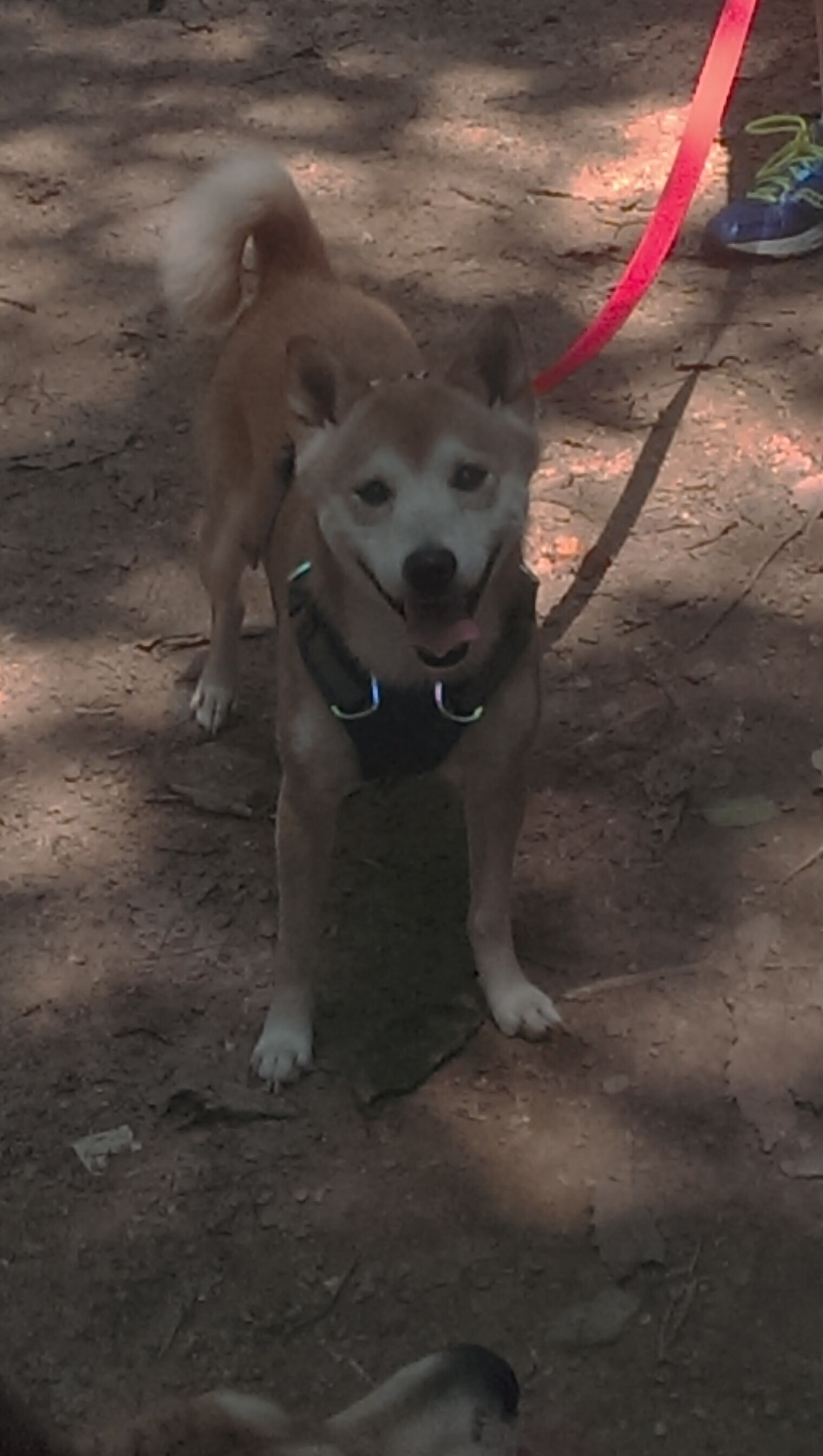 开云体育在线-当凯塞多化身切尔西的梅西,一场没有梅西的比赛,却拉满了梅西的评分标准