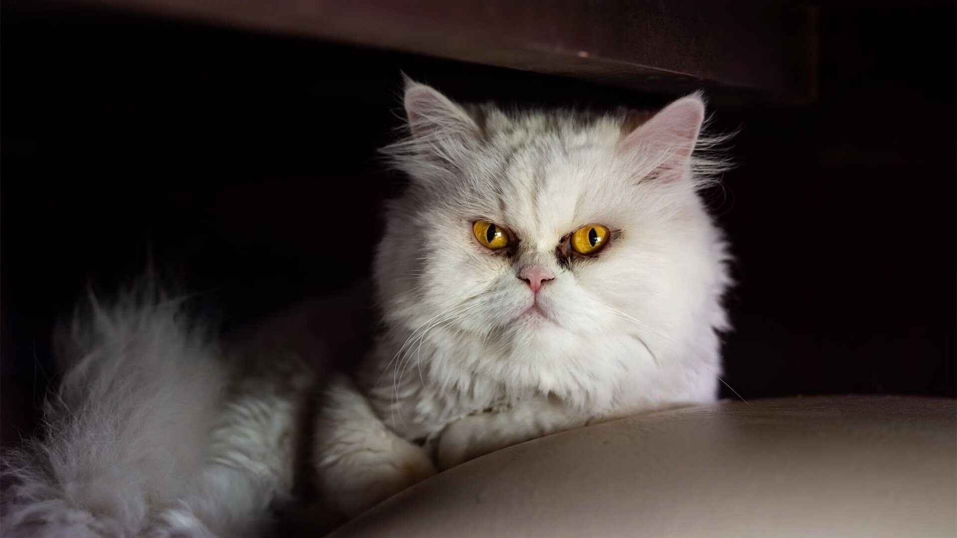 梅西的防守哲学，为何一把锁能成为乌克兰逆转的钥匙