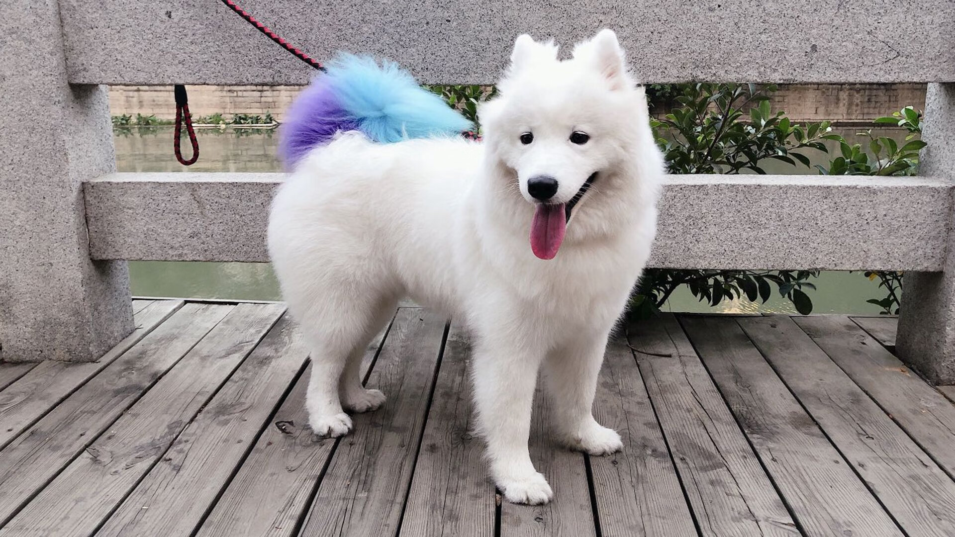 开云sport-冰与火之歌，巴雷拉的艺术控场与波斯铁骑的闪电复仇—绿茵博弈的两种终极答案