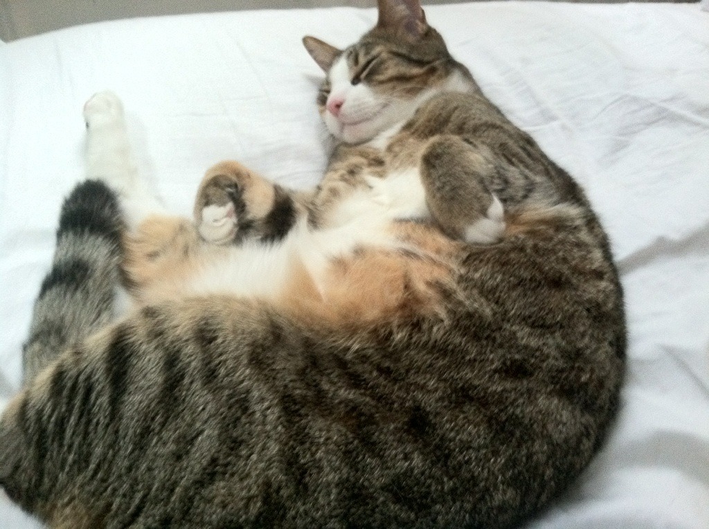 残局大师,本泽马于世界排名之夜撕开的璀璨裂痕