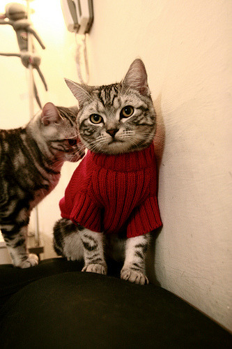 开云体育入口-决战马德里，奥斯梅恩新王诞生，无解表现吊打乌拉圭防线