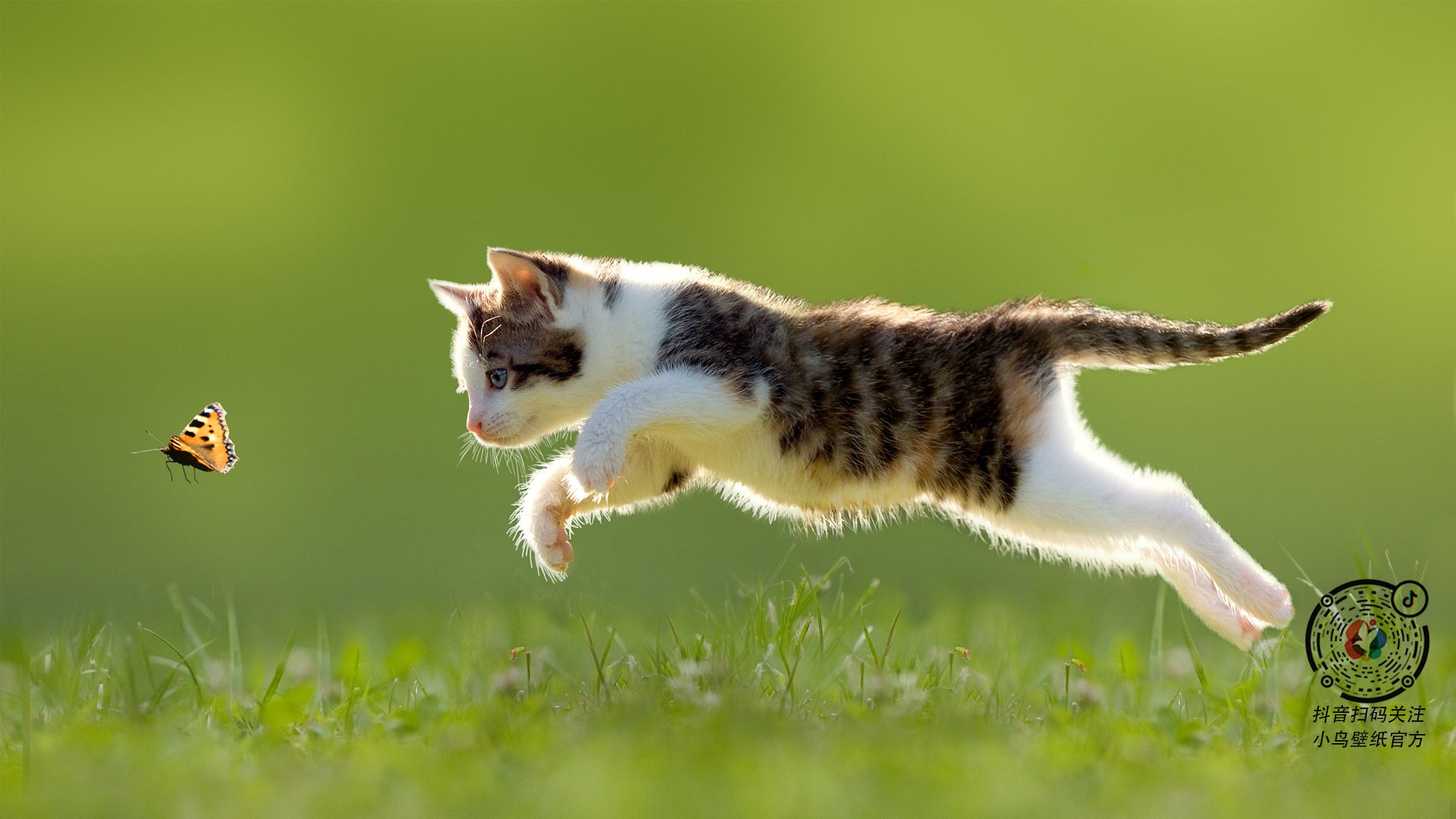 卡拉斯科一剑封喉！多特蒙德碾压葡萄牙劲旅，关键先生名不虚传