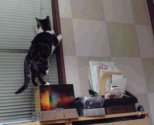 爵士对阵活塞,镁光灯下,欧文上演绝命独舞