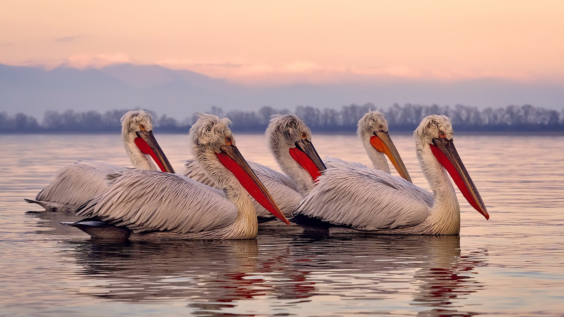 足球与时间，最后一秒的永恒博弈