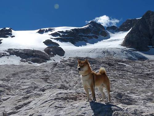 欧冠半决赛之夜，当拉梅洛复刻齐达内式的一击