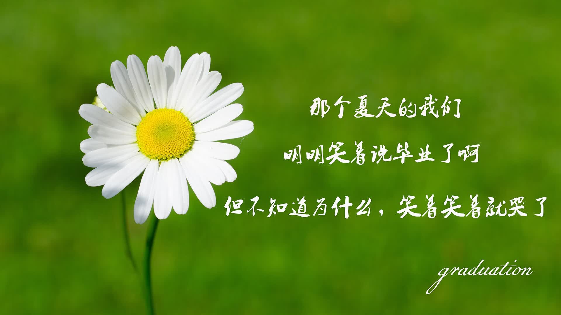 沙漠中的火玫瑰,2026世界杯E组智利险胜乌兹别克,阿方索·戴维斯用速度撕裂中亚铁幕
