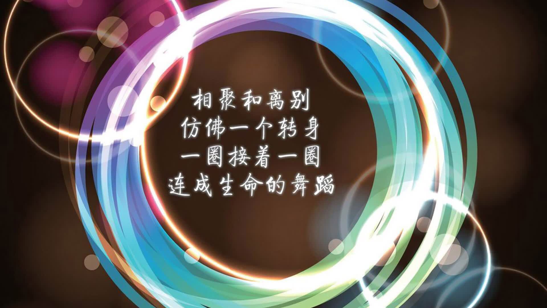 开云sport-极速狂飙，比利时红色风暴无情碾压冰岛，维尼修斯独舞世界杯争冠战