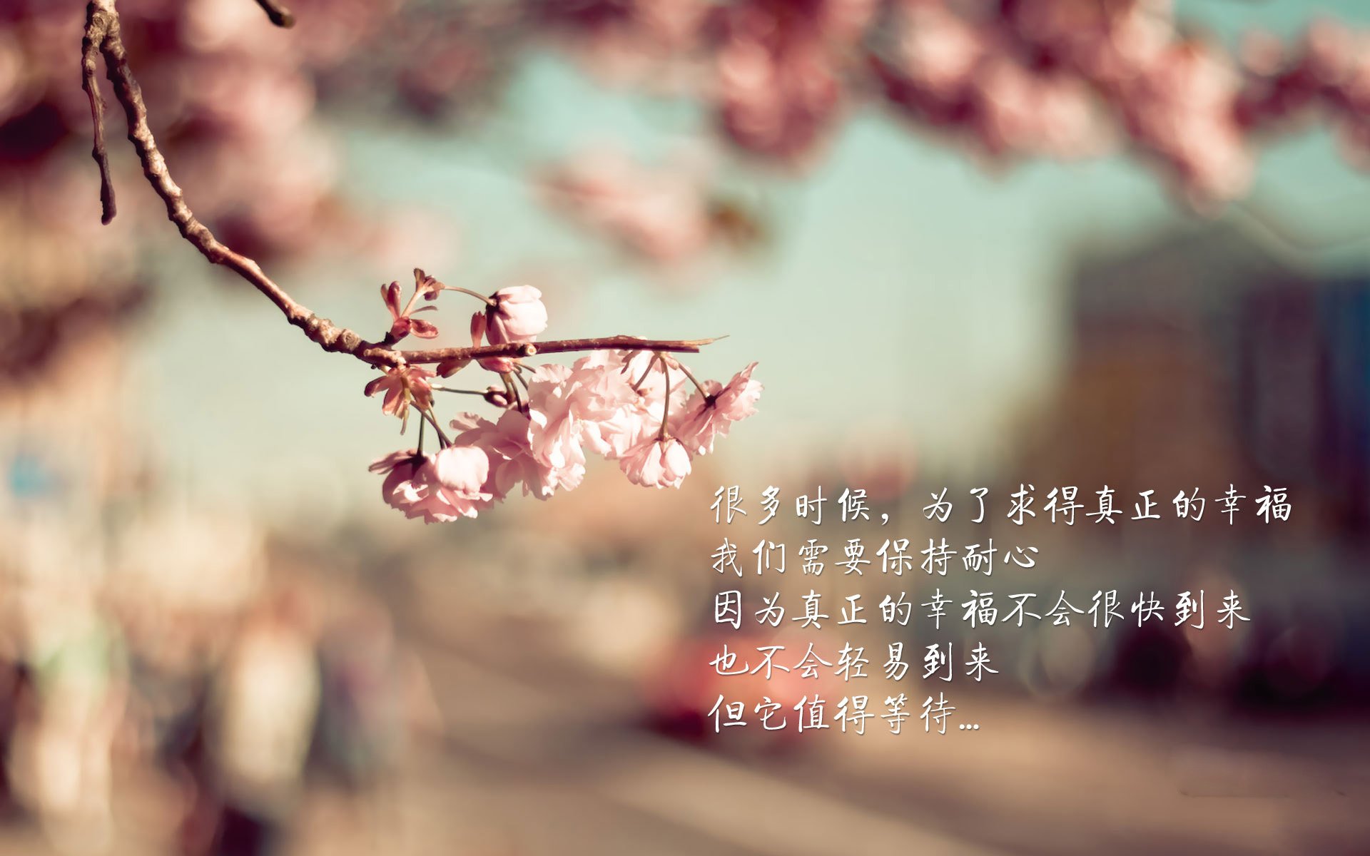开云sport-温布利之夜,塔雷米的致命一击与波兰足球的黄金时刻—2026世界杯G组经典战役全记录
