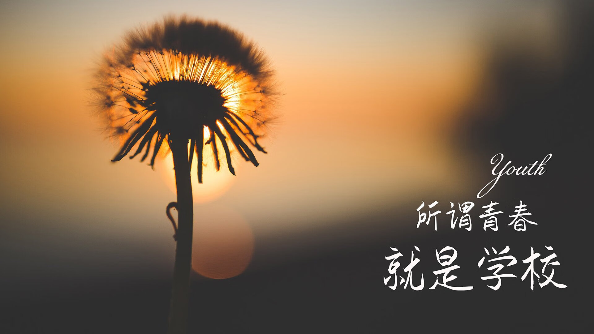 沙漠之刃刺穿南美壁垒，奥斯梅恩独造三球，沙特补时绝杀哥伦比亚震撼2026世界杯C组